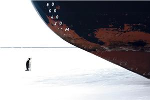 Ross Sea, Last Ocean, fishing, Christmas,Sparta