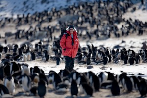 Veteran Antarctic Ecologist Dr. David Ainley has been studying penguins in the Ross Sea for more than 30 years.© John Weller.