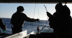 The Ross Sea toothfish fishery is longline only. The Ross Sea toothfish fishery is longline only.